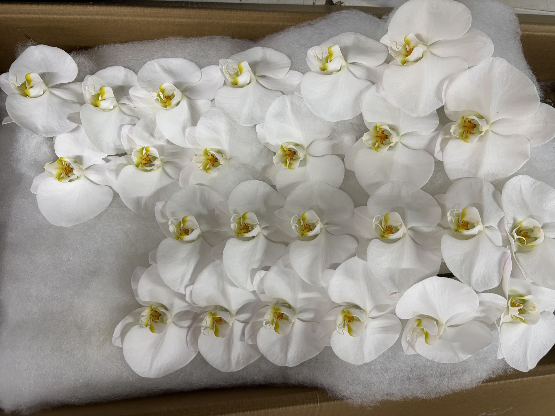 Export packing